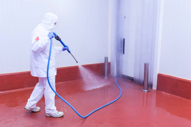 Reliable Ione, CA Pressure Washing Services Solutions